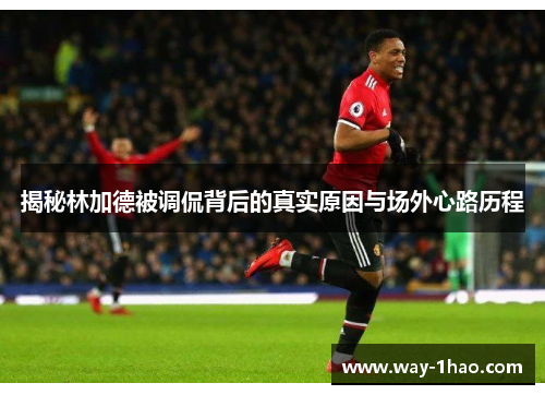 揭秘林加德被调侃背后的真实原因与场外心路历程