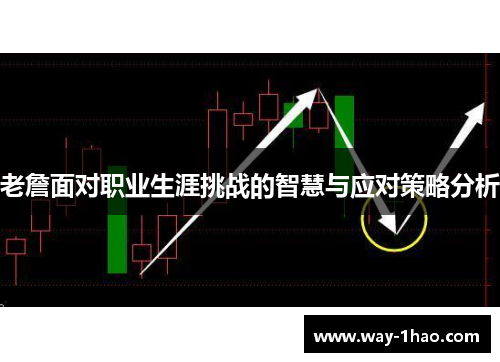 老詹面对职业生涯挑战的智慧与应对策略分析