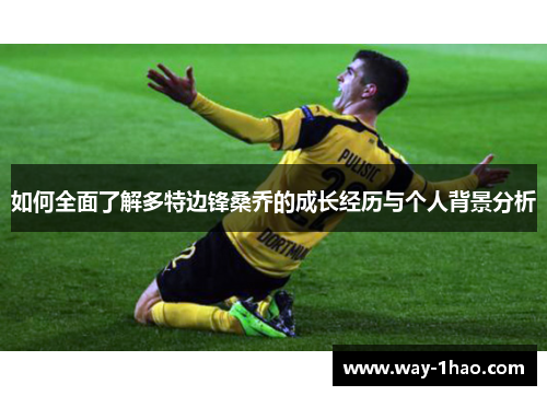 如何全面了解多特边锋桑乔的成长经历与个人背景分析